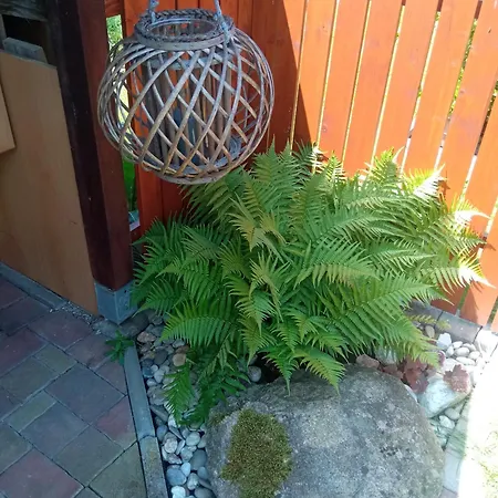 Benci *