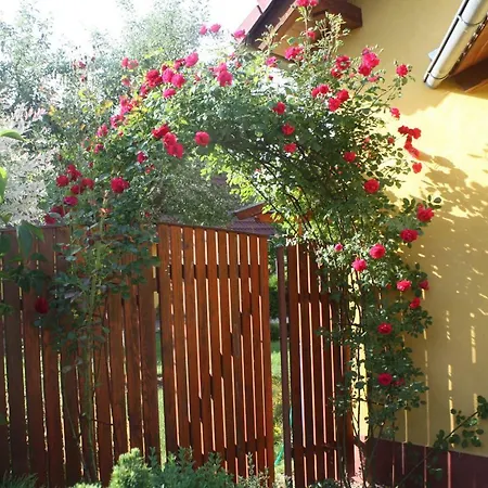Benci Appartement