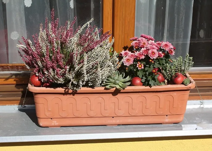 Apartmán Benci *