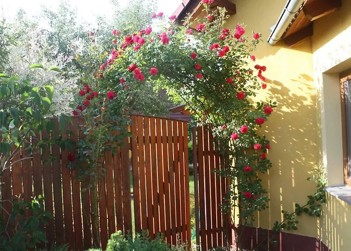 Benci Apartmán